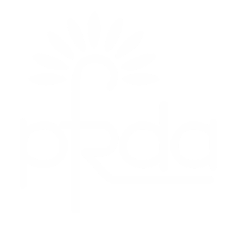 Partner