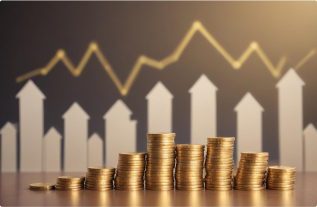 Gold: A Hedge Against Inflationor Low Return-Yielding Volatility-Adjusted Asset?